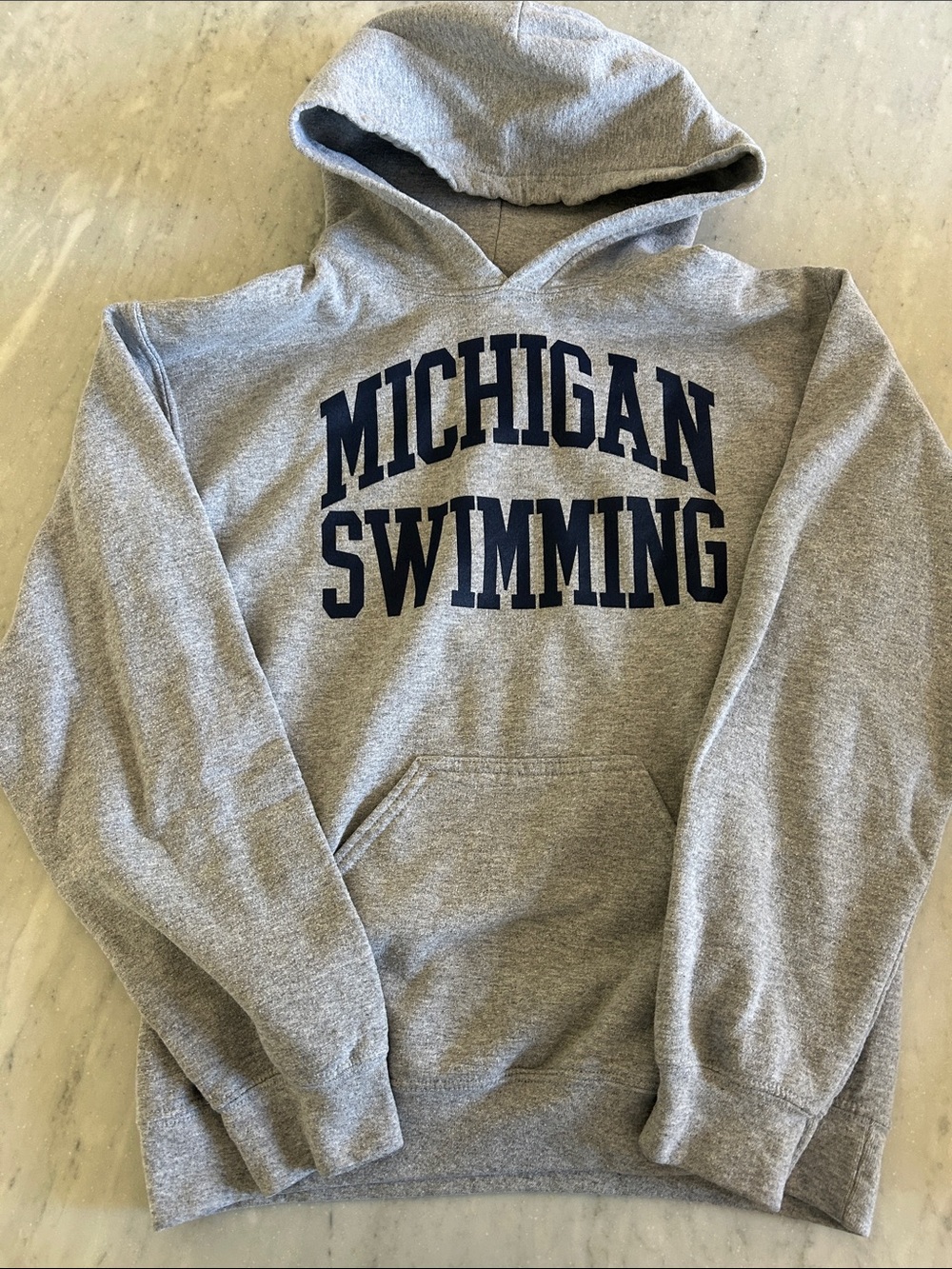 Gildan Gray Hooded Sweatshirt with Navy Michigan Swimming Print